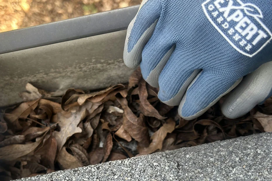 Gutter Cleaning Smyrna