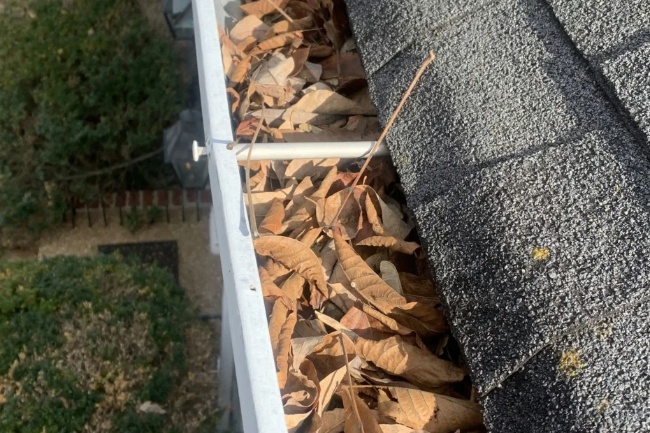 Gutter Cleaning Smyrna