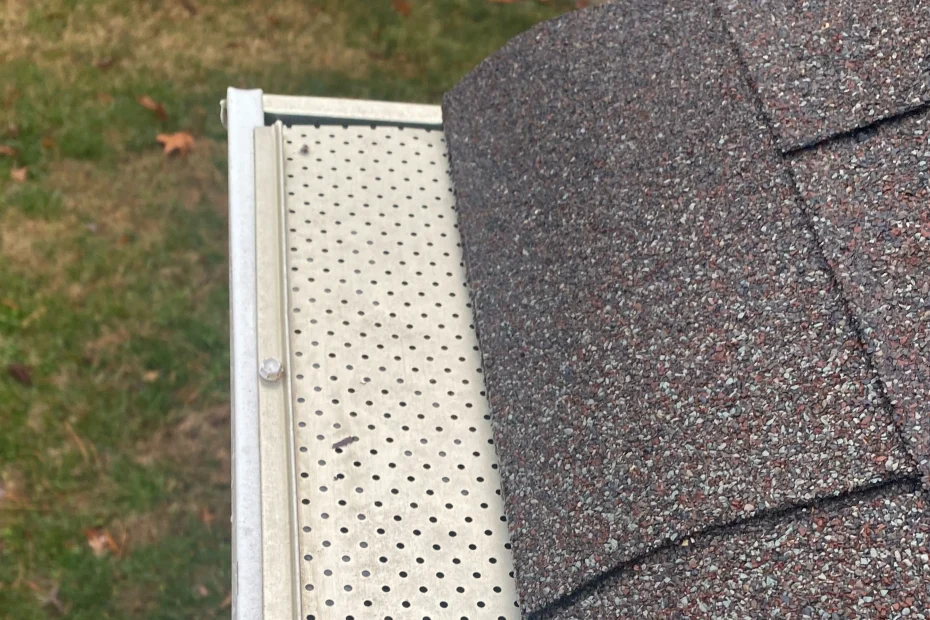 Gutter Cleaning Smyrna