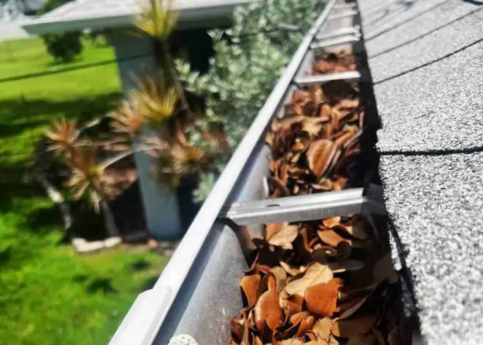 Gutter Cleaning Smyrna home page